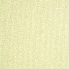 Вертикальные жалюзи CRIPPE 5103 цвет абрикос (127мм)