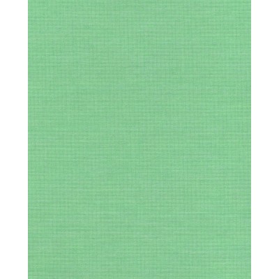 Жалюзи японские ткань Ара цвет зеленый 1001